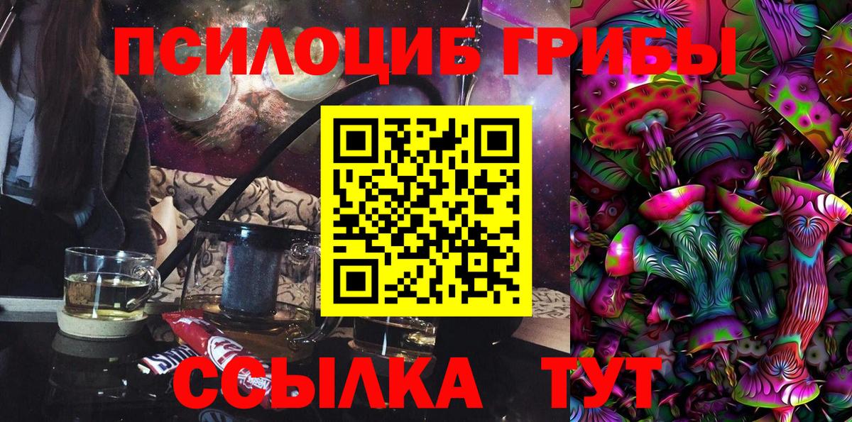 Галлюциногенные грибы Psilocybine cubensis Сергиев Посад